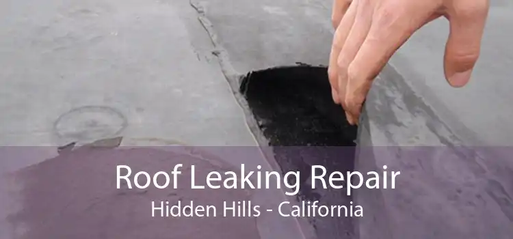 Roof Leaking Repair Hidden Hills - California
